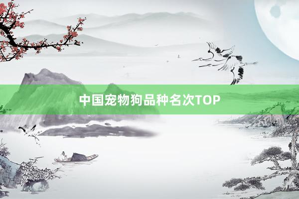 中国宠物狗品种名次TOP